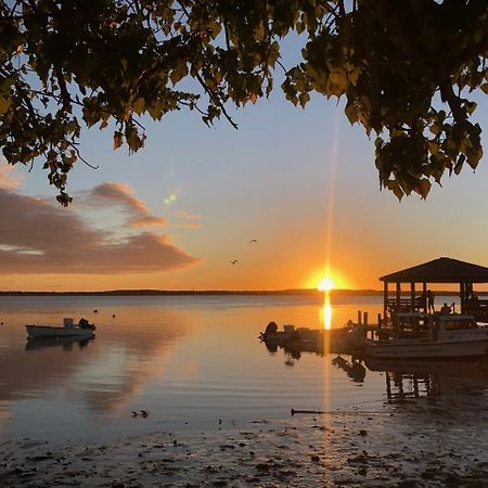 Conch Shell Harbour Island Home Dunmore Town Bagian luar foto