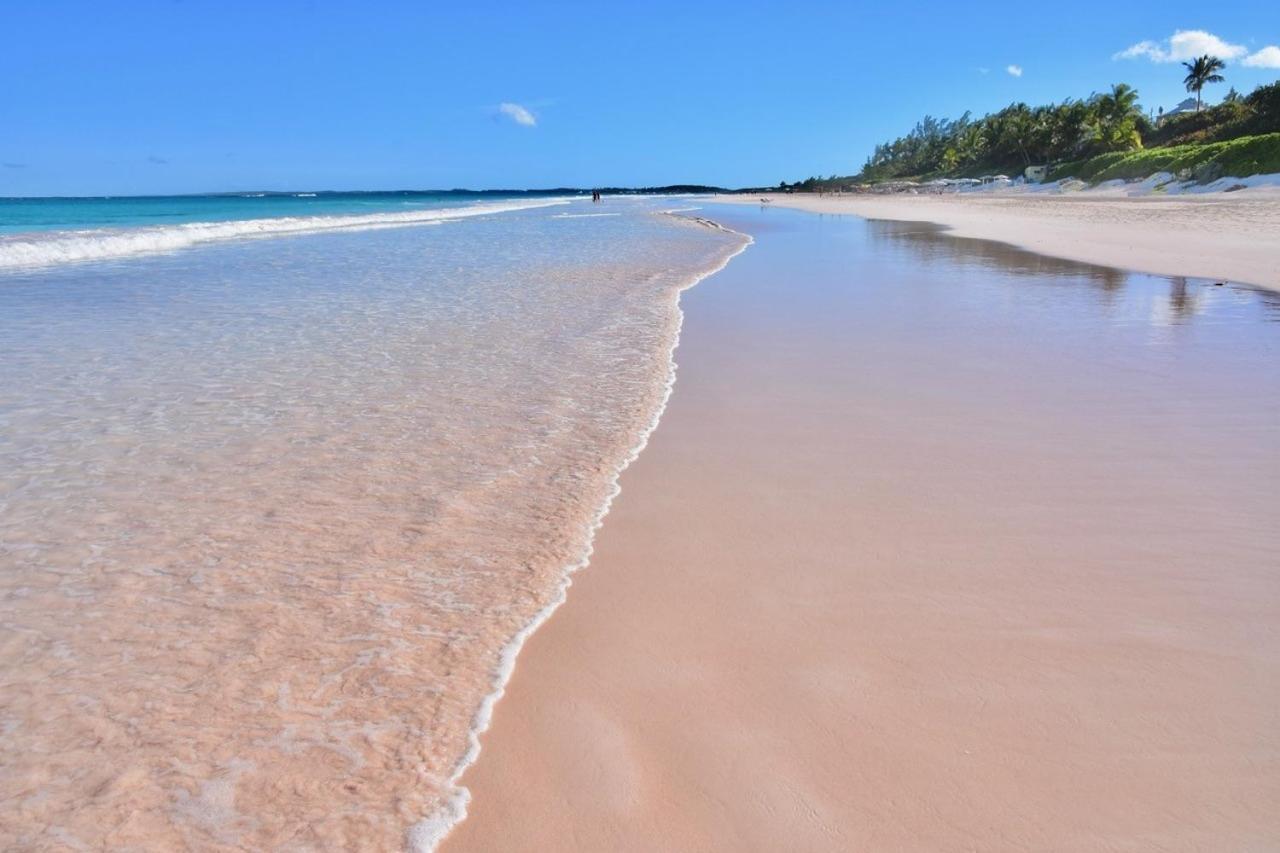 Conch Shell Harbour Island Home Dunmore Town Bagian luar foto