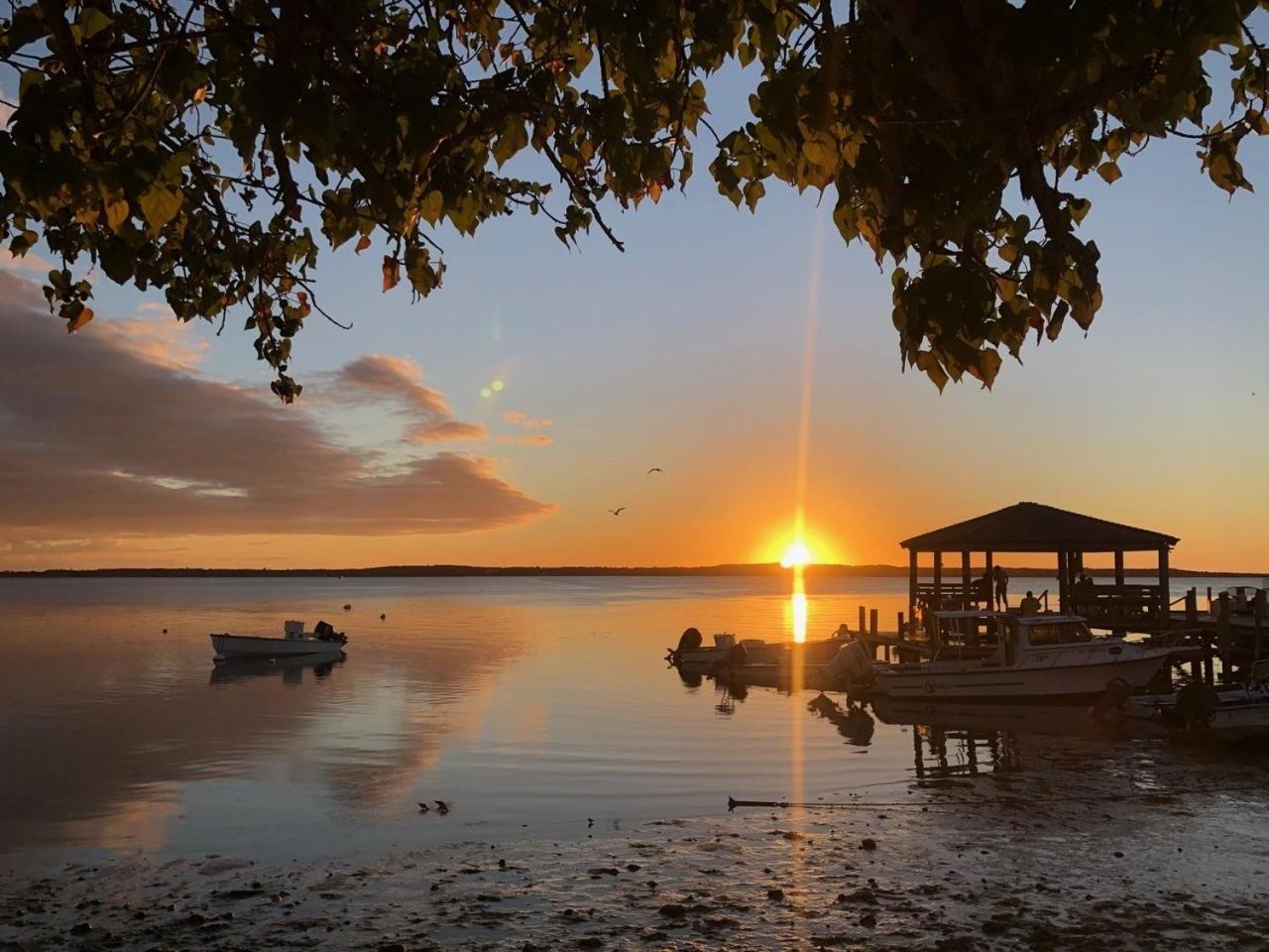 Conch Shell Harbour Island Home Dunmore Town Bagian luar foto